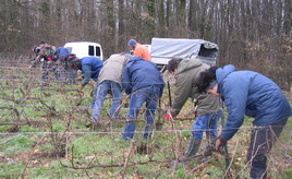 Avenay Val d'Or - Février 2008 - groupe AIVABC - solidarité entraide vignerons - champagne